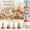 A002- Style B, variant on Dragon Figurine, Shell Painting Kit for Student, Glue for Crafts, Craft Supplies & Materials, 8X6X2 Inch Kit with 1 Shell, 1 Bottle of Glue, 1 Instruction Manual, 1 Pair of