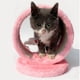 thumbnail image 5 of Juguete de cueva para rascar gatos, garra de cueva para rascar gatos, agujero para gatos, árbol para rascar, cueva para escalar gatos, valor excepcional Jadeshay  A, 5 of 8