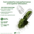 thumbnail image 4 of HealthFare Chlorophyll Capsules 600mg | Internal Deodorant & Body Odor Support | 150 Veg Pills for Women & Men | Premium Plant-Based Supplement | Vegan, Non-GMO, Gluten-Free | Made in USA, 4 of 7