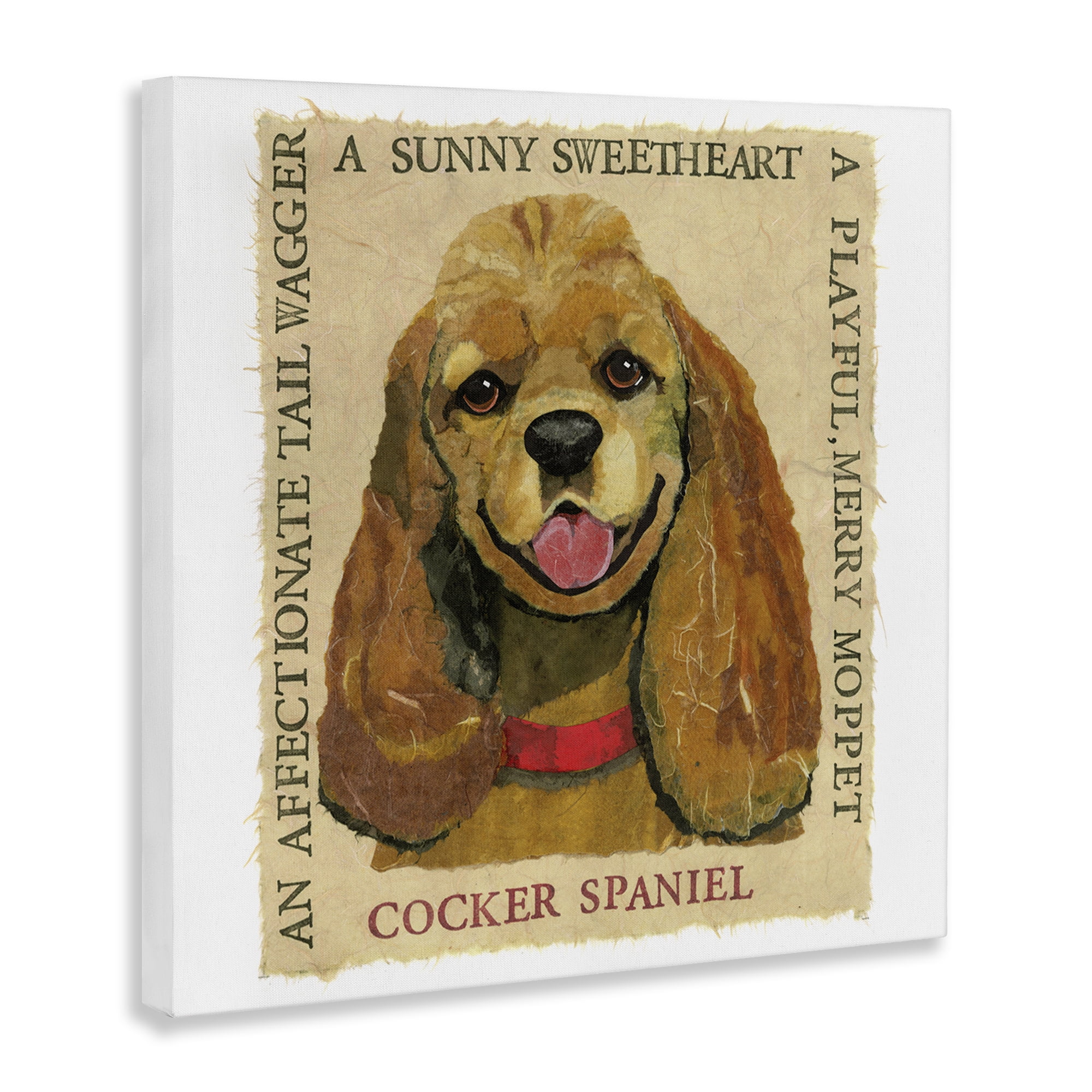 Stupell Industries Fun Cocker Spaniel Phrases Animals Painting Wrapped Canvas Art Print Wall Art, 30 x 30