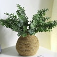 thumbnail image 3 of Ludlz 1Pc Artificial Silk Eucalyptus Money Leaf Green Garden Plant Foliage Home Decor, 3 of 6