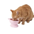 thumbnail image 2 of Kitty City Dishwasher Safe Plastic Elevated Cat Bowls, 2-Pack Set, Pink Cat Ears, One Size, 2 of 5