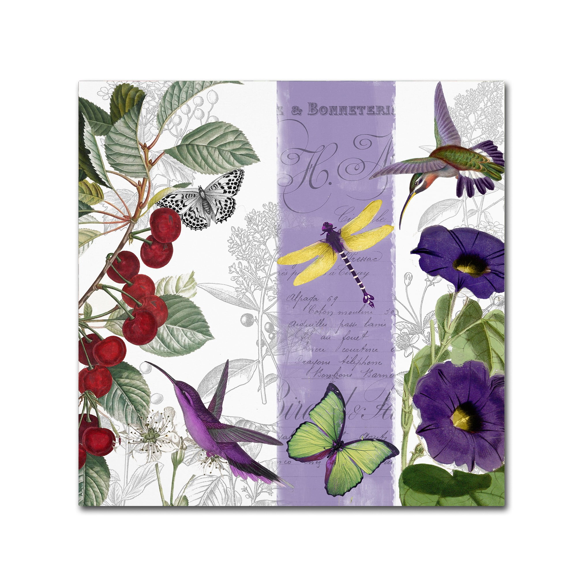 Trademark Fine Art "Cherry Picked I" Canvas Art by Color Bakery