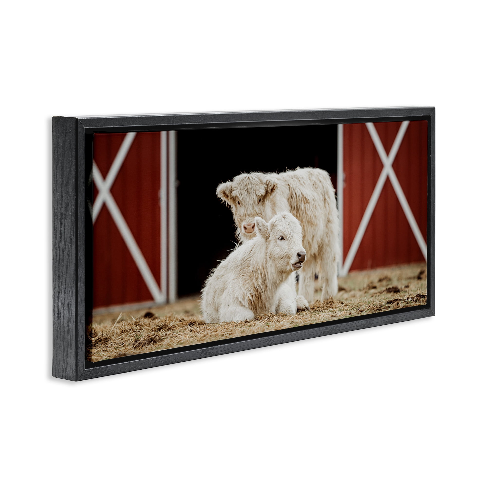 Stupell Industries White Cattle Barn Animals & Insects Photography Black Floater Framed Canvas Art Print Wall Art, 25 x 11