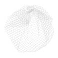 thumbnail image 1 of Facial For Lady Women Wedding Bride Belly Dance Net Fascinator Costume Cosplay, 1 of 7