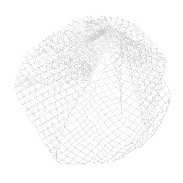 Facial For Lady Women Wedding Bride Belly Dance Net Fascinator Costume Cosplay