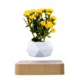 thumbnail image 2 of Maceta de bonsái de aire levitante, maceteros de flores de rotación, maceta flotante de suspensión de levitación magnética, decoración de escritorio de plantas en macetas en dos piezas, 2 of 5
