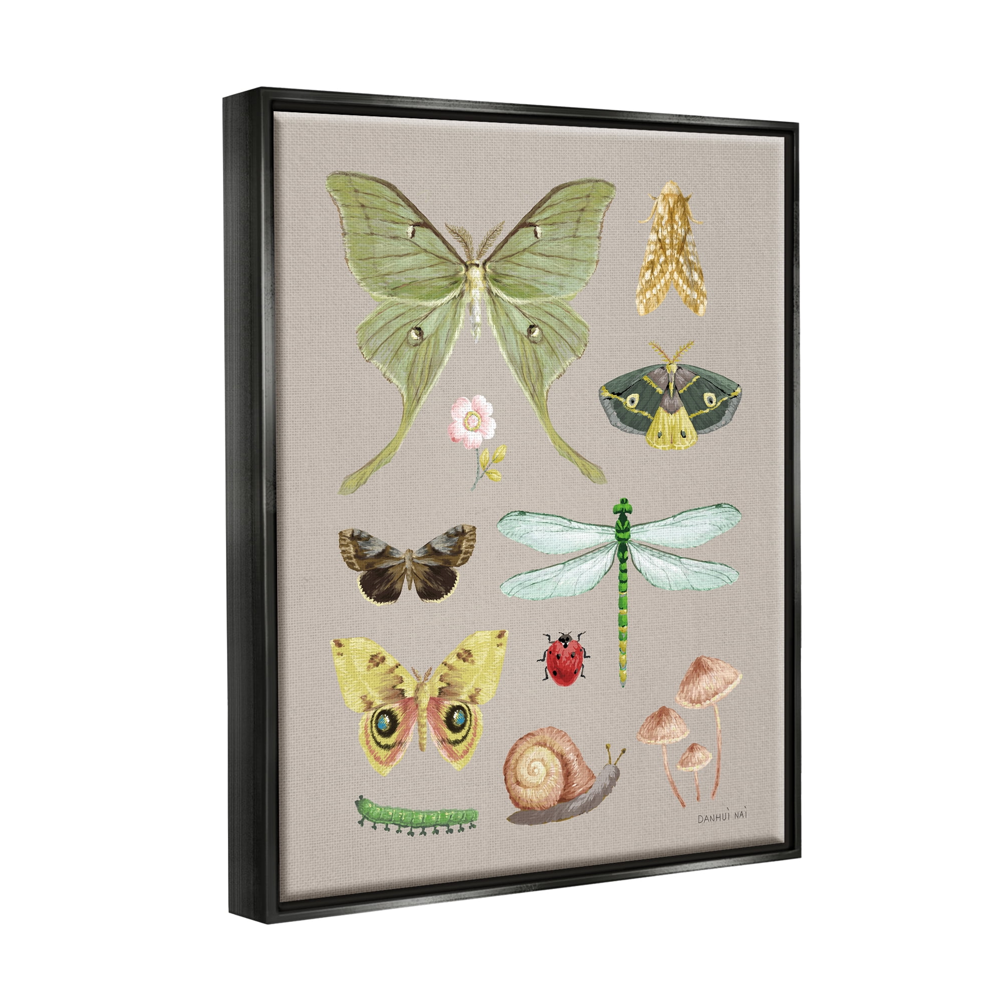 Stupell Industries Various Insect Studies Animals & Insects Painting Black Floater Framed Art Print Wall Art, 17 x 21