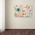 thumbnail image 3 of Trademark Fine Art "Rainbow Seeds Flowers I Linen" Canvas Art by Lisa Audit, 3 of 3