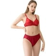 thumbnail image 4 of 100% Mulberry Silk Panties for Women, 22 Momme Pure Organic Silk Underwear, Bikini Panties, Real Organic Silk Brief Undies, 4 Packs, 4 of 7