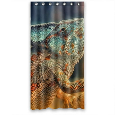 Ganma Clear Scary Lizard Shower Curtain Polyester Fabric Bathroom Ganma Clear Scary Lizard Shower Curtain Polyester Fabric Bathroom 36x72 Inches Com