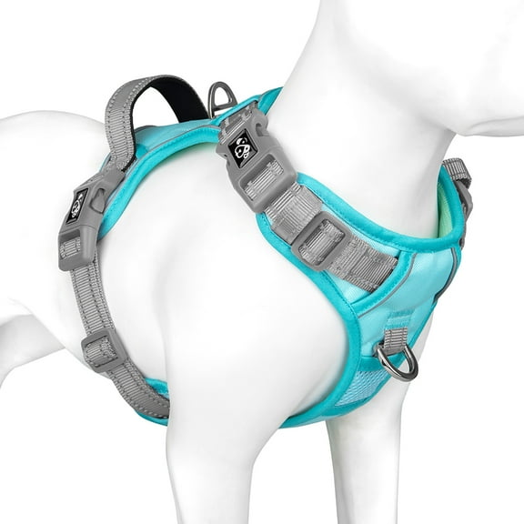 PHOEPET No Pull Dog Harness, Unique Colors Reflective Adjustable Dog Vest, with Soft Training Handle Metal Clips for Small Medium Large Dogs (Mint Green Base & Pink Straps)