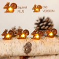 thumbnail image 1 of Christmas Squirrel Plus String Lights, 10ft Silver wire 30 Big Icon Leds Battery Powered with Remote Control for Indoor Outdoor Fall Party, Thanksgiving Holiday, Home Fairy Decorations Lighting, 1 of 7