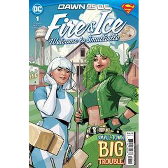 Collectible Fire & Ice Welcome To Smallville #1 (of 6) Cvr A Terry Dodson DC Comics Comic Book
