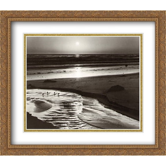 Birds on a Beach 2x Matted 32x28 Large Gold Ornate Framed Art Print by Adams, Ansel