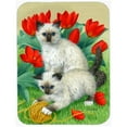 thumbnail image 1 of Carolines Treasures ASA2125LCB Birman Kittens Glass Cutting Board- Large, 1 of 1