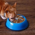 thumbnail image 5 of Bol pour Chien à Alimentation Lente pour Réduire les Attaques Alimentaires et les Maladies Digestives, 5 of 5
