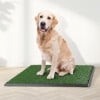 thumbnail image 2 of PETMAKER 20x30 Reusable 4-Layer Artificial Grass Puppy Pee Pad with Tray, 2 of 7