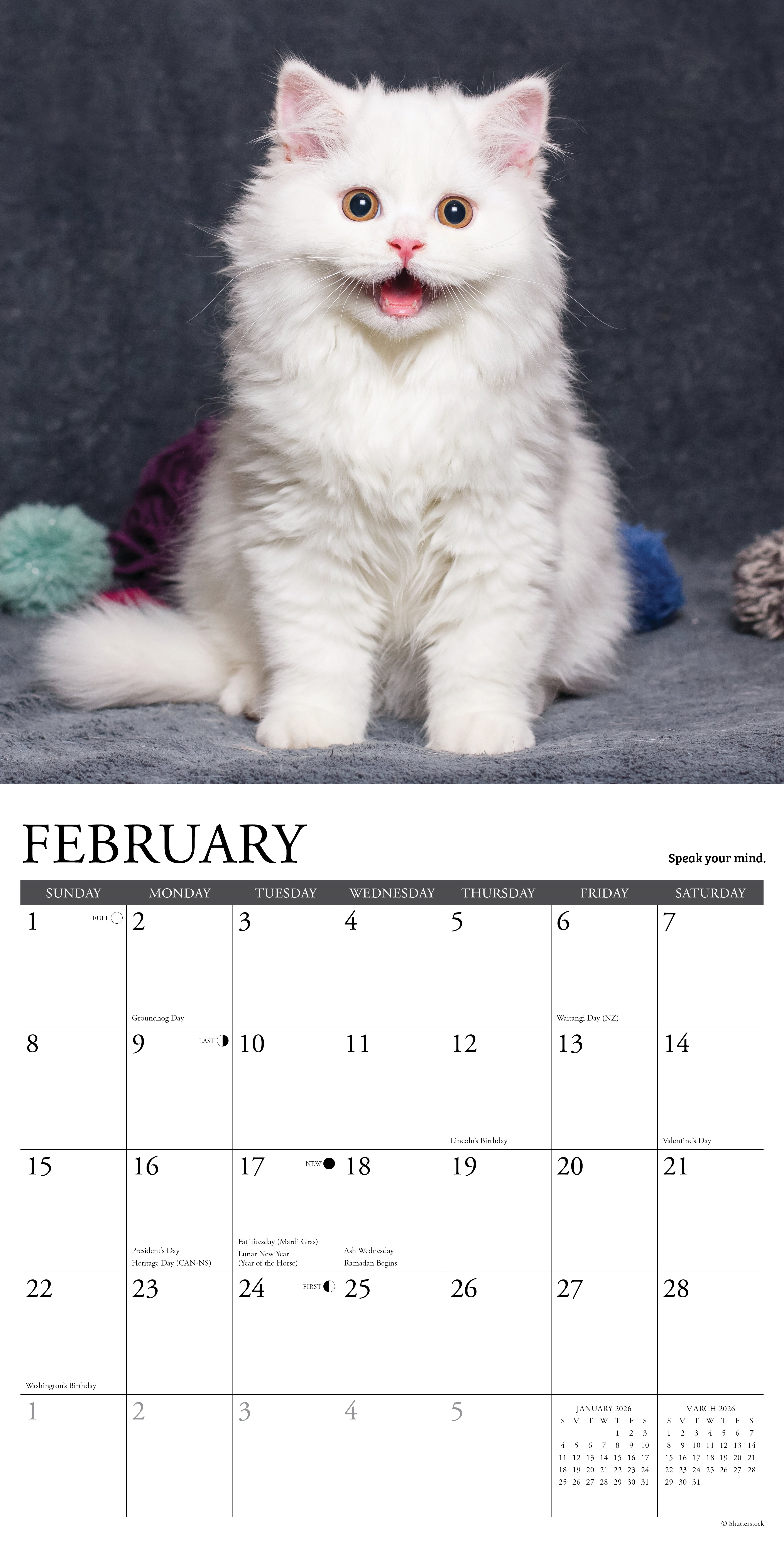 What Kittens Teach Us 2026 Wall Calendar