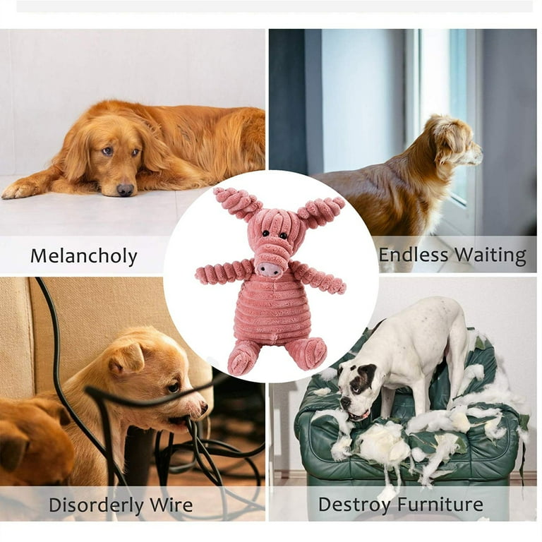 Dog Destroys All Toys visitchile.cl