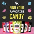 thumbnail image 7 of Wiley Wallaby 8 Ounce Allsorts Gourmet Australian Style Soft & Chewy Assorted Licorice Candy (3 Pack), 7 of 7