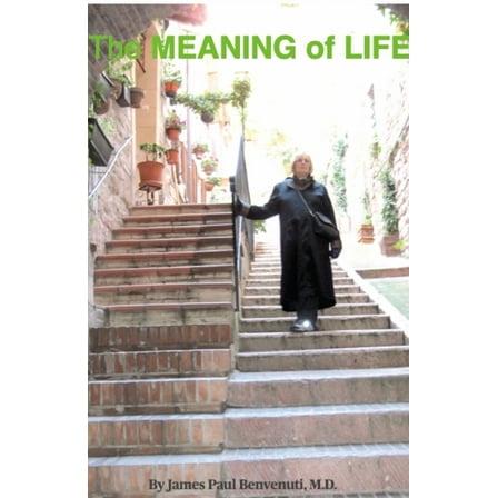 The MEANING of LIFE: (Going Into the Light), (Paperback)