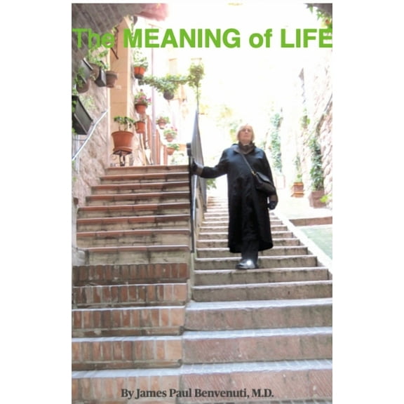 The MEANING of LIFE: (Going Into the Light), (Paperback)