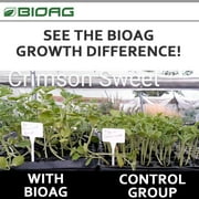 Ful-Power Humic Acid- Assists with Nutrient Uptake in Plants OMRI Listed - 2.5 Gallon Jug by BioAg