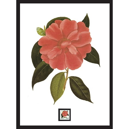 Camellia Framed Artwork w/ Postage Stamp
