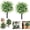 White, variant on Artificial Potted Trees with Ground Stakes – UV Resistant Camellia Topiary, Artificial Plants and Flowers Decoration Realistic Fake Bushes for Home Garden Yard Home Decor (2, White)