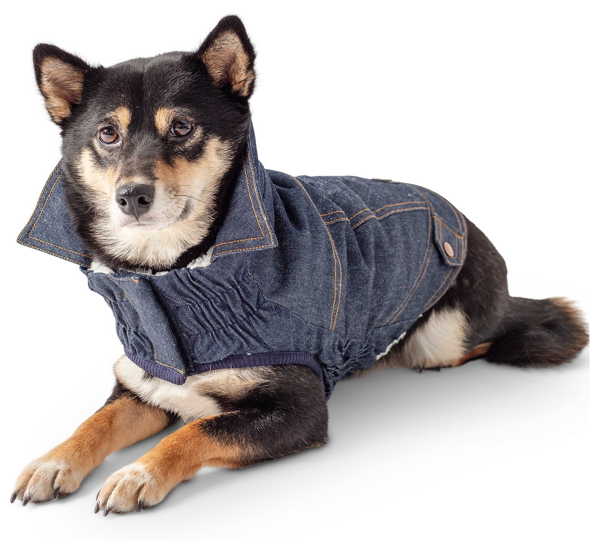 GF PET Denim Dog Jacket Elastofit 