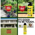 thumbnail image 5 of Raid Multi Insect Killer 15 Ounce Pack of 6, 5 of 9