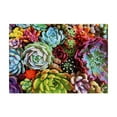 thumbnail image 4 of HUASHENG 1000 Pieces Puzzle Large Puzzle Family Game For Adult Kids Game, 4 of 5