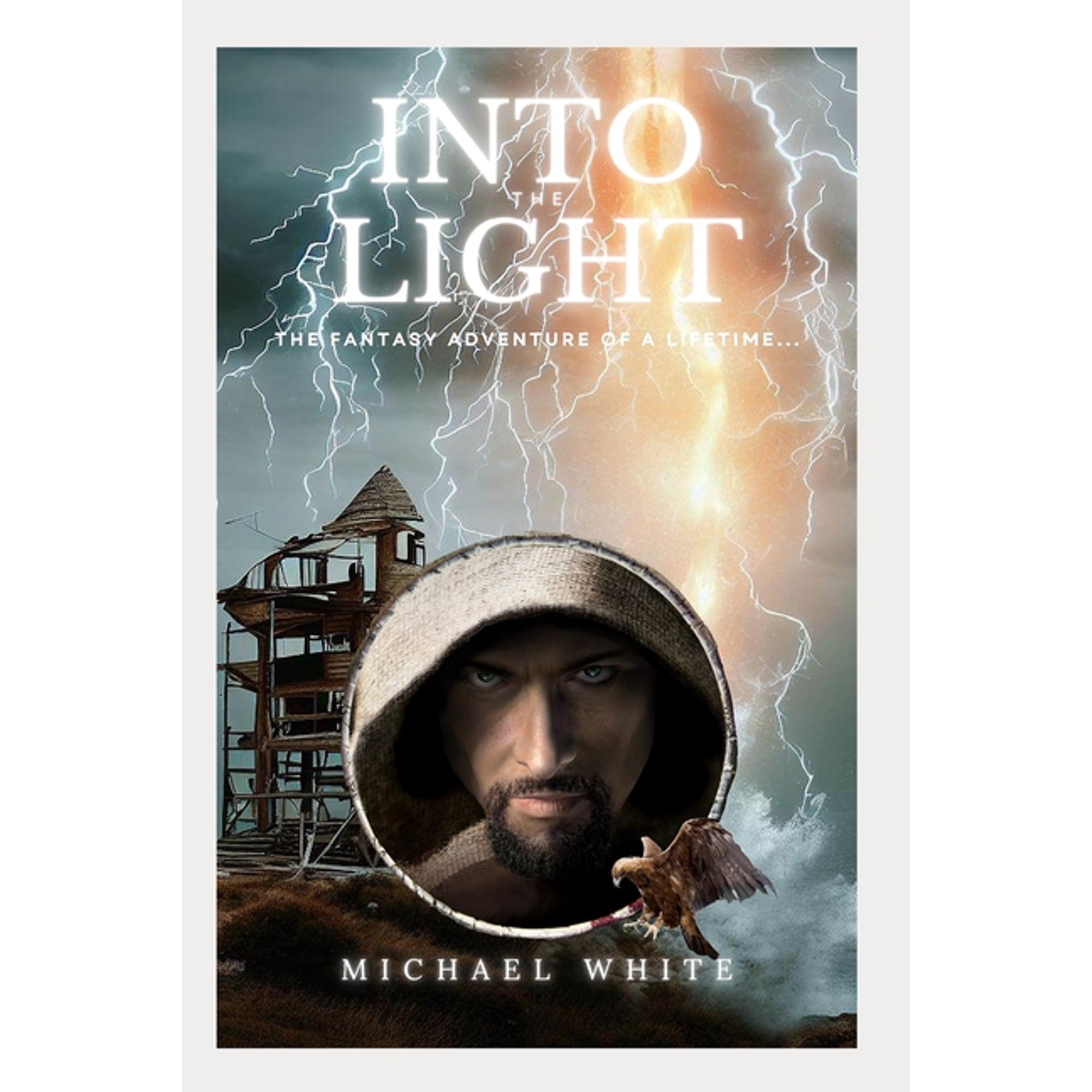 Into The Light: Lost in Translation (Paperback)