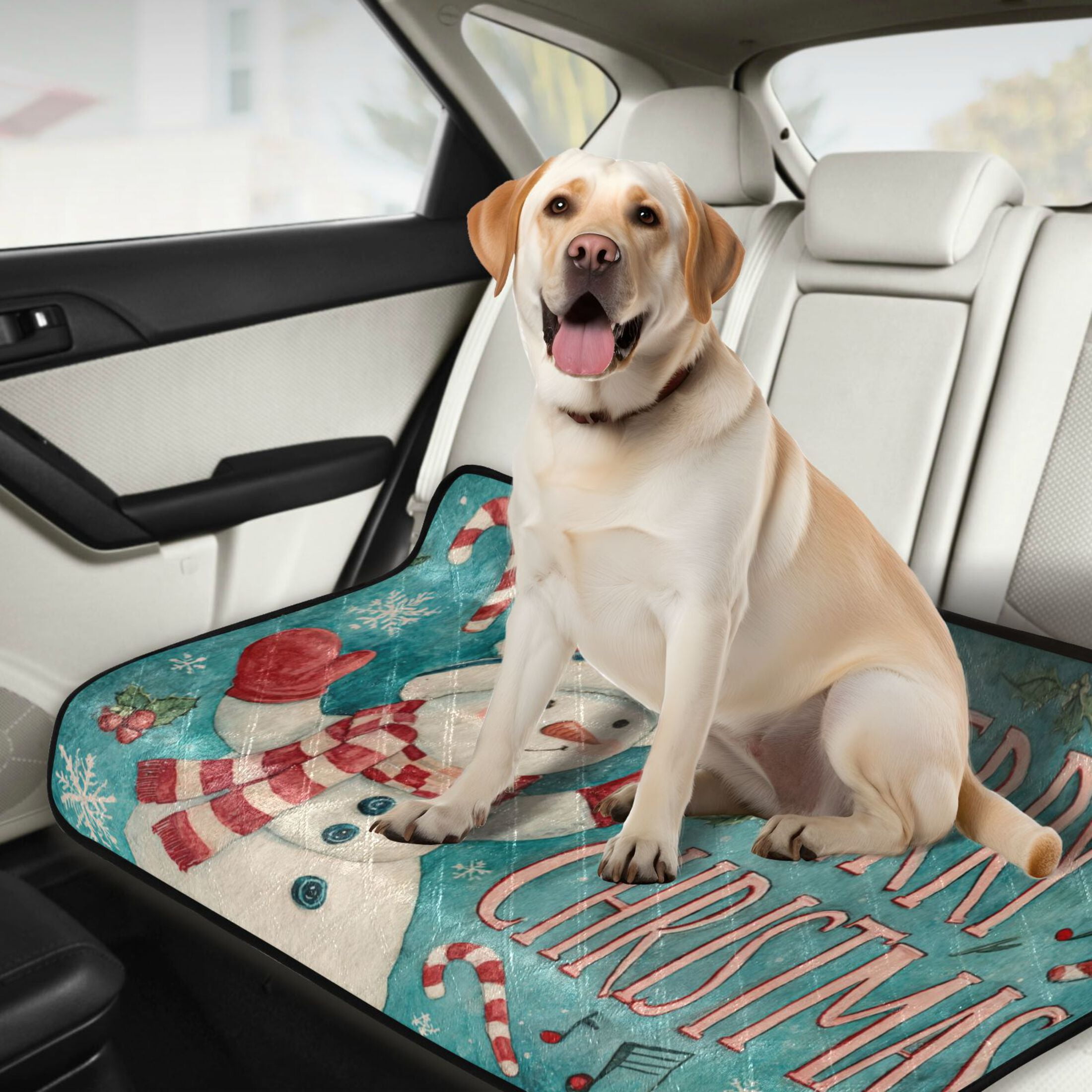 Qxltty Candy Snowman Cat litter Pads Pet Set of 2 Diaper Mats Center Anti-leakage Layer Absorbent Soft and Comfortable