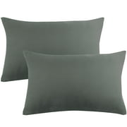 Power of Nature Queen Pillowcases Set of 2 Soft Microfiber Fabric- Wrinkle Shrinkage and Fade Resistant Pillow Covers with Envelope Closure Gray