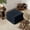 BLUE, variant on 23.62" Square Plush Corduroy Ottoman,Soft Upholstered Couch Footrest with Removable Top,Comfy Padded Seat Stool for Living Room Bedroom,Beige