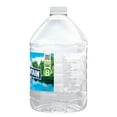 ICE MOUNTAIN Brand 100 Natural Spring Water, 101.4ounce plastic jug