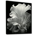 thumbnail image 2 of Designart "Coastal Coral'S Abstract Reverie" Coastal Coral Under Water Floater Framed Wall Art Living Room, 2 of 5