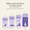 thumbnail image 4 of Lansinoh NaturalWave Baby Bottle Nipples, Fast Flow, 6m+, 2 Count, 4 of 12