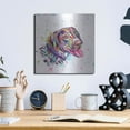 thumbnail image 6 of Luxe Metal Art 'Colorful Watercolor German Shorthaired Pointer' by Furbaby Affiliates, Metal Wall Art, 12"x12", 6 of 9