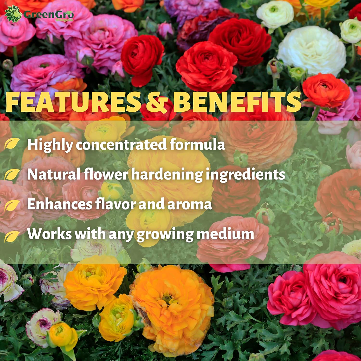 Flower Finisher - Fertilizer for Final Stages of Flower Growth - 35 lb Bucket by GreenGro