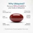 thumbnail image 4 of WELLNESS EXTRACT BioQuinol Ubiquinol (CoQ10) with Geranylgeraniol – Master Antioxidant for Heart Health, Cellular Energy 150mg 60 Softgels, 4 of 9