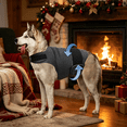 thumbnail image 4 of TELOLY 2026 New Anti Anxiety Vest for Dogs, Dog Anxiety Relief Coat, Skin Friendly Dog Calming Jacket Vest, Adjustable Dog Shirts for Thunder, Fireworks and Separation, Keep Pet Calm Without Training, 4 of 6