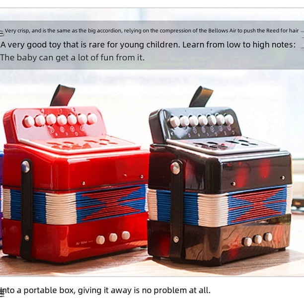 Small Foot Company 3304 – Acordeón De Juguete Para Niños, Musical Y Educativo