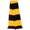 thumbnail image 1 of Result Foulard d'Équipe Essentiels d'Hiver, 1 of 2