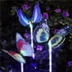 thumbnail image 4 of Luz De Estaca De Mariposa Solar Ip65 Luz De Mariposa De Jardín A Prueba De Agua Lámpara De Suelo De Mariposa Ecológica Control De Luz Luz De Estaca Led Para Jardín Patio Paisaje Pasillo Speravity HA013853-00, 4 of 6