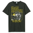 thumbnail image 1 of Amplified - Camiseta Fear Of The Dark Iron Maiden para Adultos Unisex (Carbón, Amarillo), 1 of 2