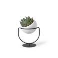 thumbnail image 1 of Nesta Planter White Speckle, 1 of 1