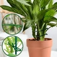 thumbnail image 6 of YardVibe 200 PCS Adjustable Garden Plant Twist Ties, 2025 Upgrade Green Plant Ties Cable Ties, Reusable Plant Ties for Indoor Outdoor Climbing Plants Garden Supplies (6.69in*200Pcs), 6 of 7